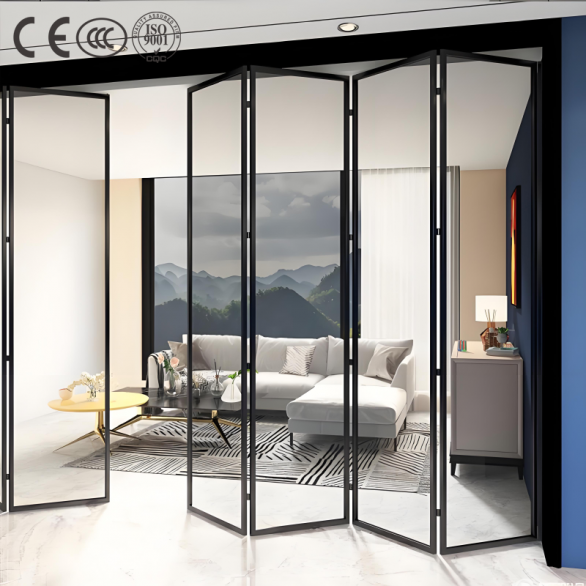 Folding Door